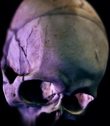 Tattoos - Skull - 77456